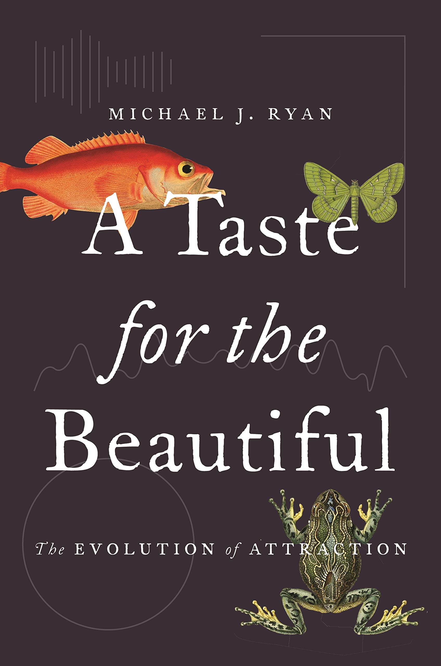 Taste for the Beautiful | Michael Ryan