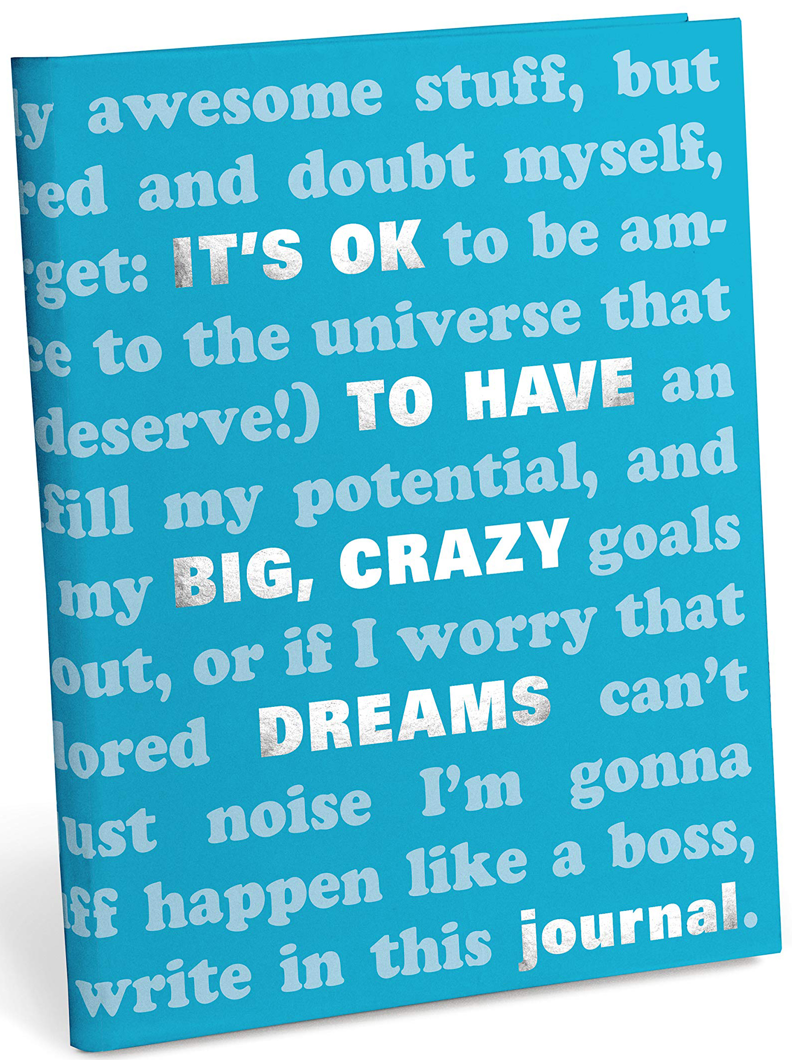 Jurnal - It\'s OK to Have Big, Crazy Dreams | Knock Knock