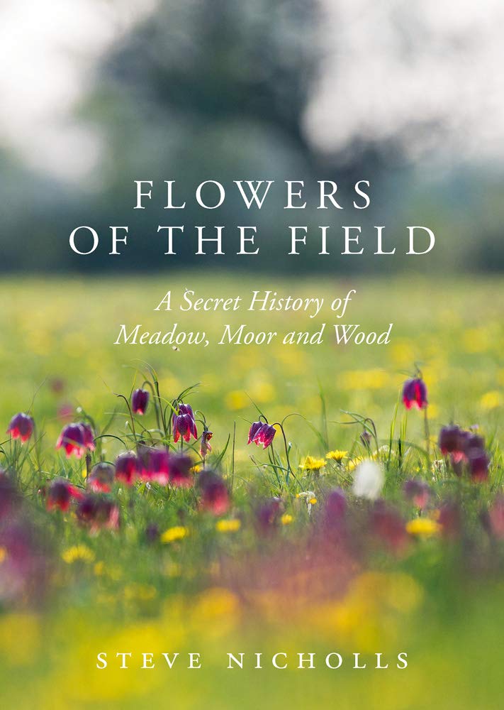 Flowers of the field | Steve Nicholls