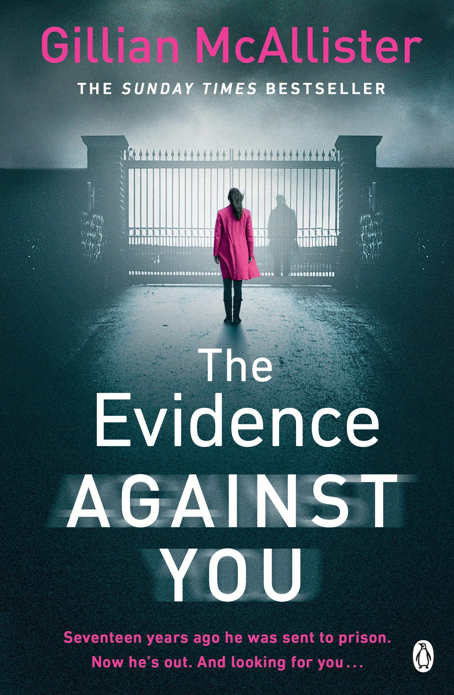 Evidence Against You | Gillian McAllister