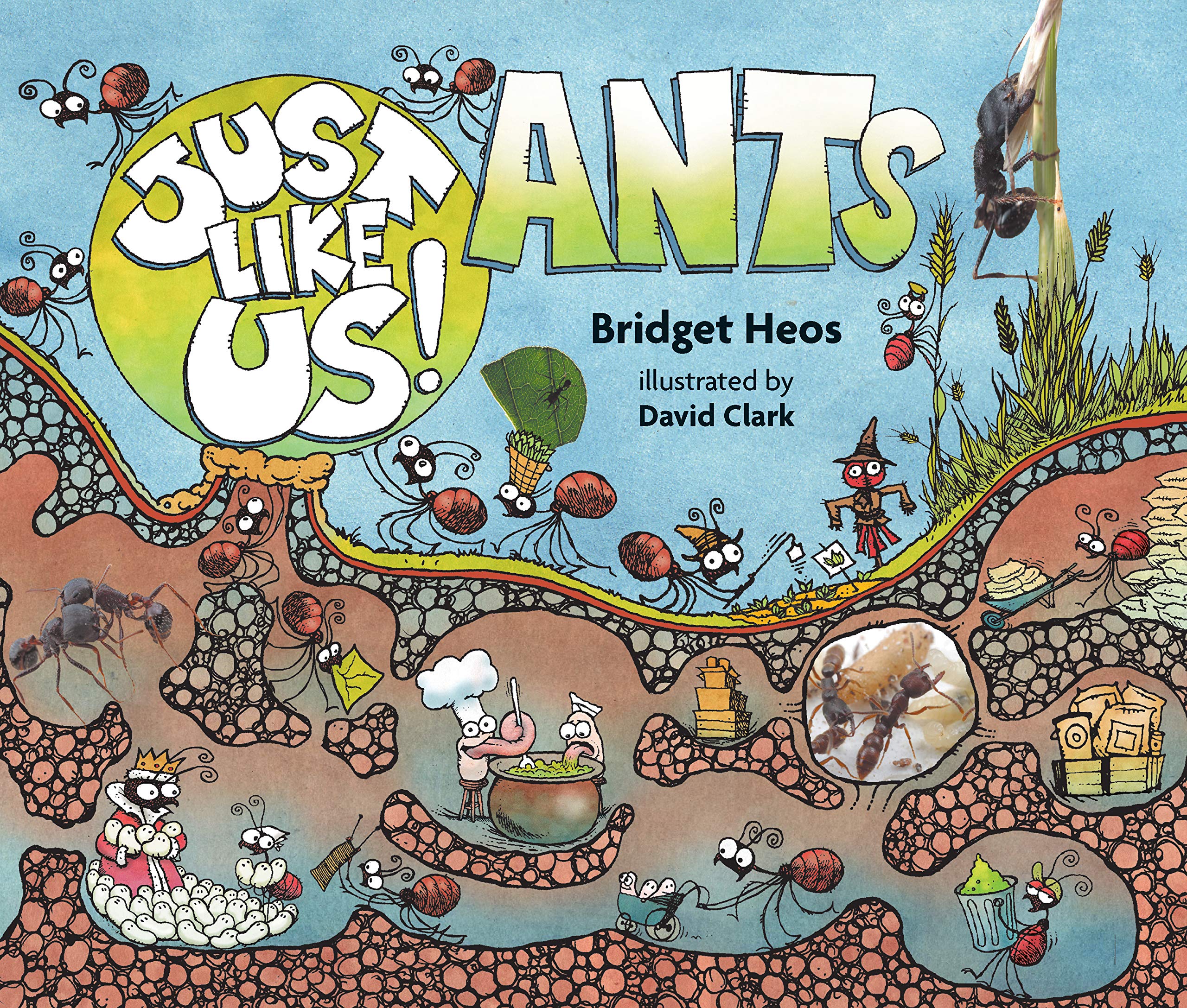 Just Like Us! Ants | Bridget Heos