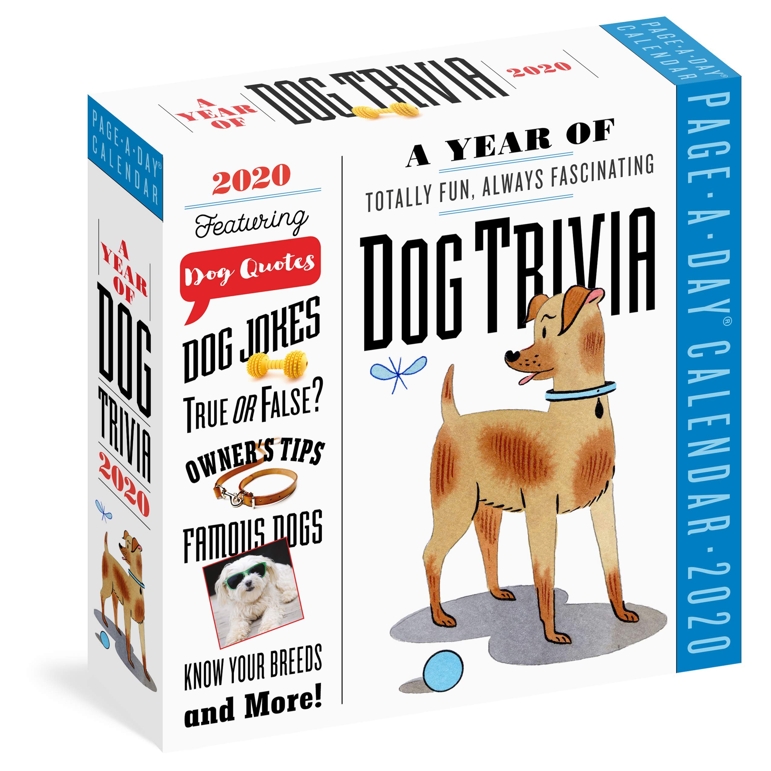Calendar 2020 - Page-A-Day - A Year of Dog | Workman Publishing