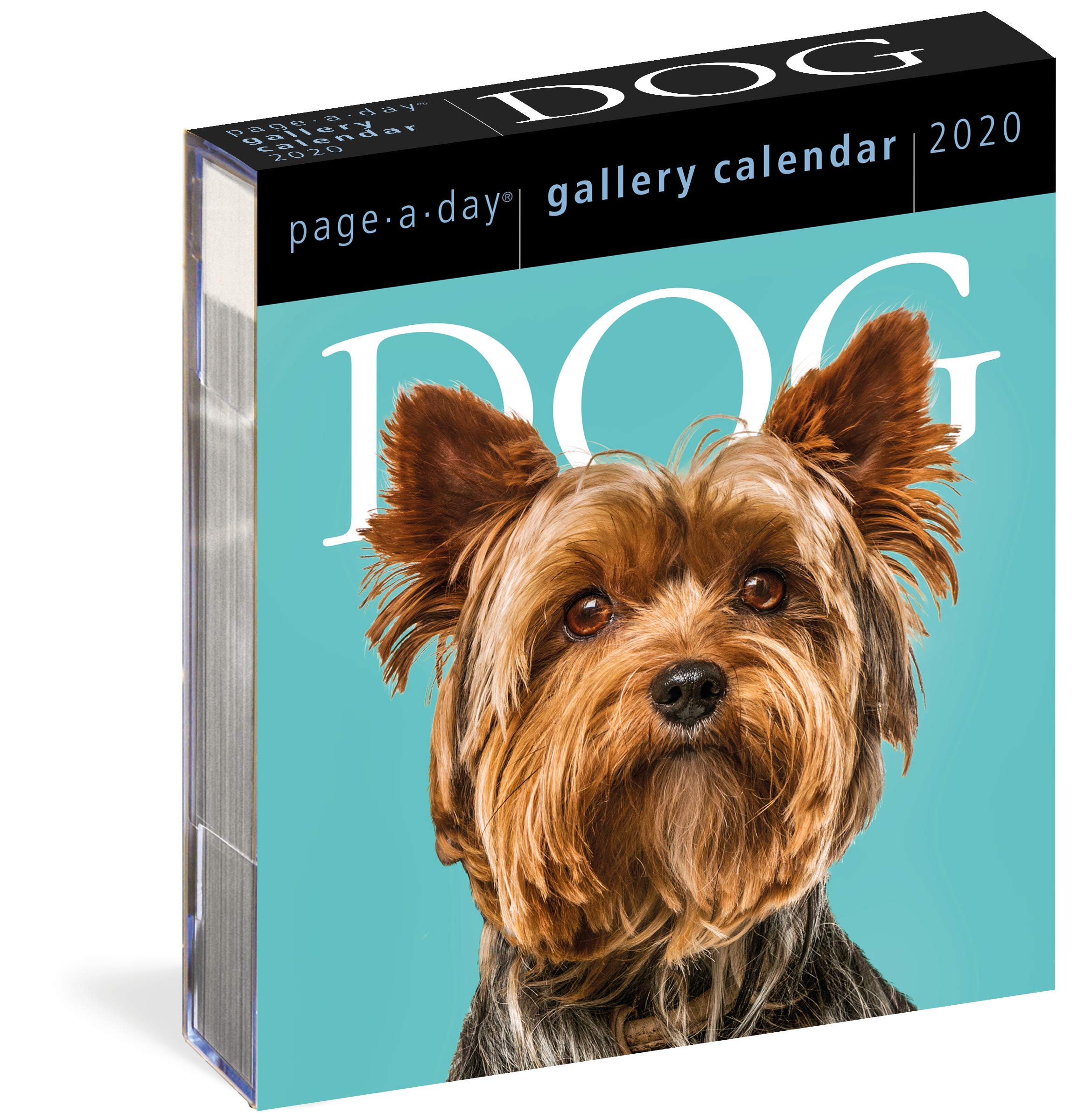 Calendar 2020 - Page-A-Day - Gallery Calendar - Dog | Workman Publishing