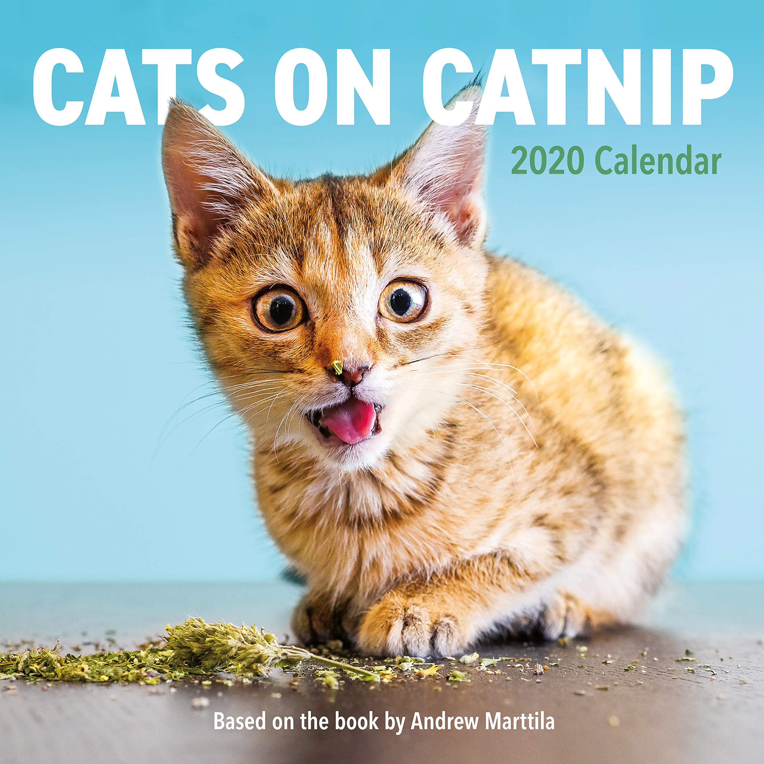 Calendar 2020 - Cats on Catnip | Workman Publishing