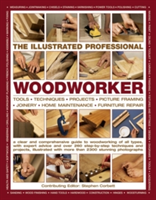 Illustrated Professional Woodworker |