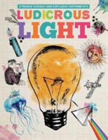 Ludicrous Light | Mike Clark