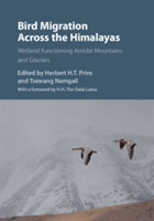 Bird Migration Across the Himalayas |