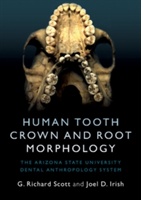 Human Tooth Crown and Root Morphology | Reno) G. Richard (University of Nevada Scott, Joel D. (Liverpool John Moores University) Irish