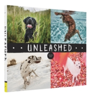 Unleashed | Amanda Jones
