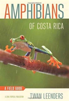 Amphibians of Costa Rica | Twan Leenders