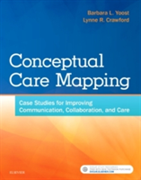 Conceptual Care Mapping | Barbara Yoost, Lynne Crawford