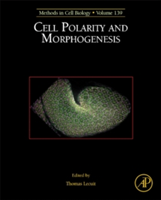 Cell Polarity and Morphogenesis |