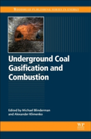 Underground Coal Gasification and Combustion |