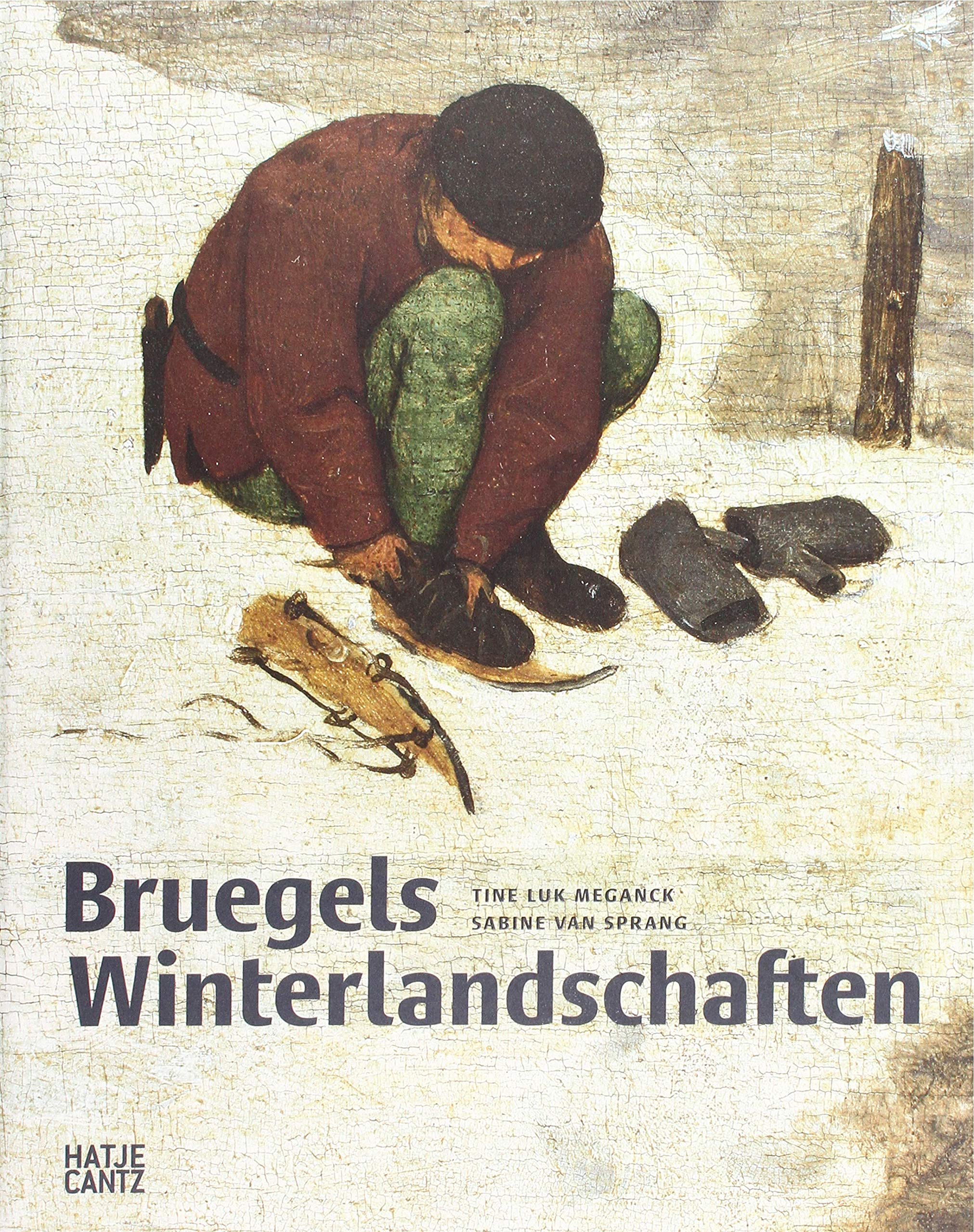Vezi detalii pentru Bruegels Winterlandschaften | Tine Luk Meganck
