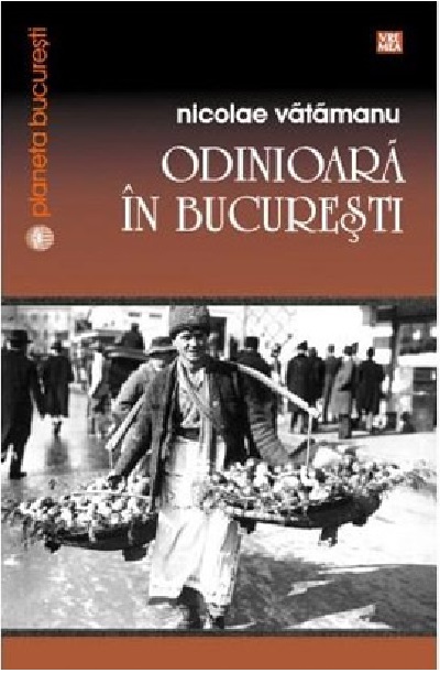 Odinioara in Bucuresti | Nicolae Vatamanu Bucuresti