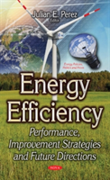 Energy Efficiency |