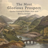 The Most Glorious Prospect | Bettina Harden