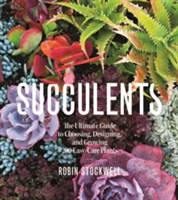 Succulents | Robin Stockwell