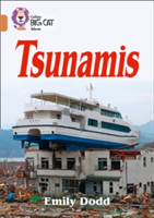 Tsunamis | Emily Dodd