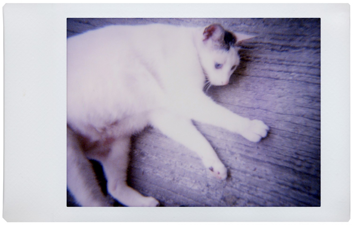 Aparat foto instant - White | Lomography - 3 | YEO