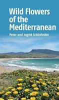 Wild Flowers of the Mediterranean | Ingrid Schonfelder