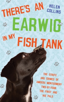 There's an Earwig in my Fish Tank | Helen Collins