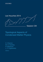 Topological Aspects of Condensed Matter Physics |