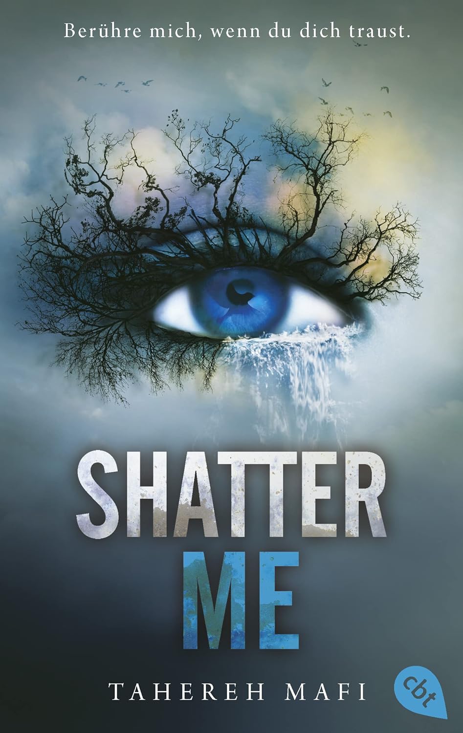 Shatter Me