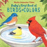 Baby\'s First Book Of Birds & Colors | Phyllis Limbacher Tildes