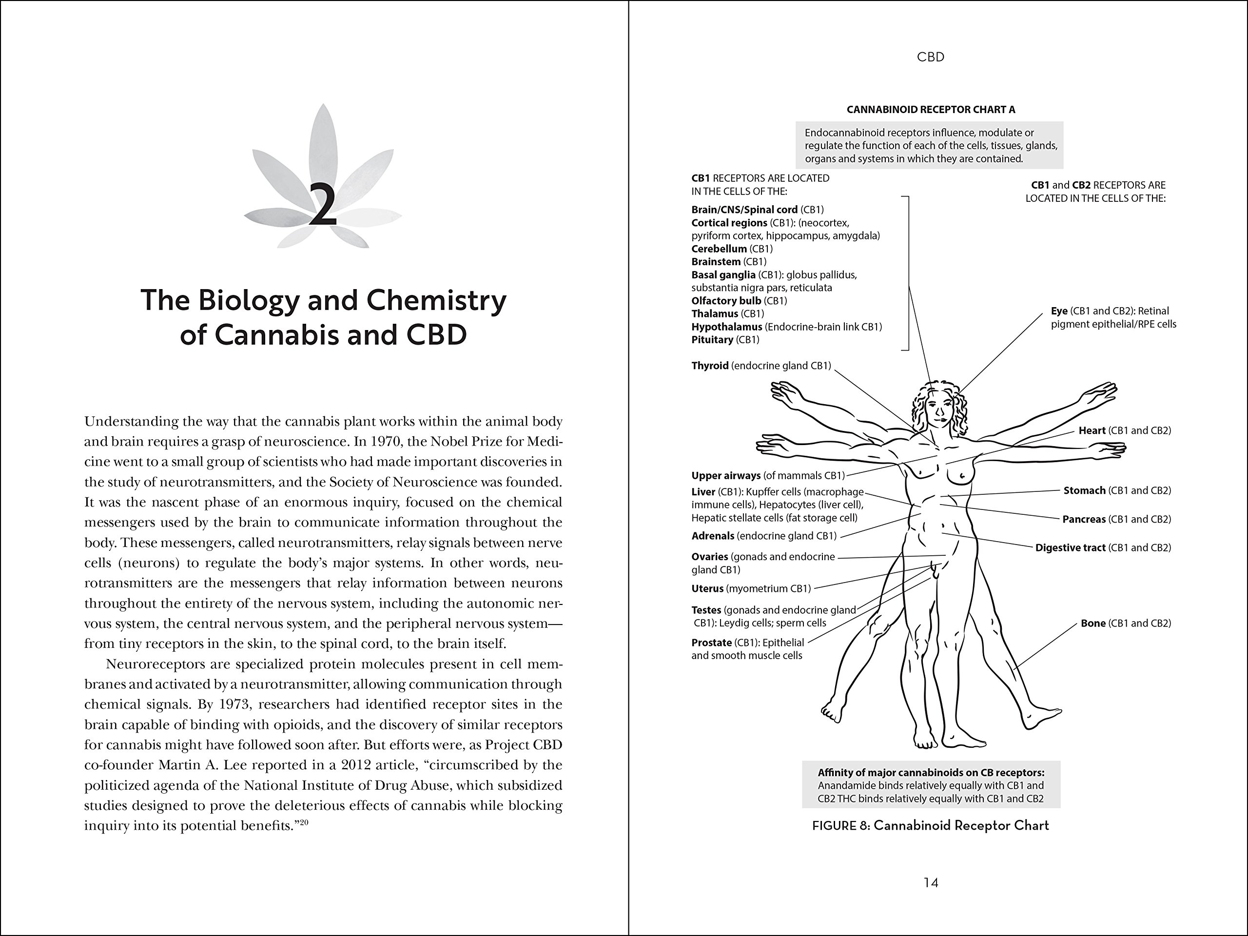 CBD | Juliana Birnbaum, Michael H. Moskowitz - 2 | YEO