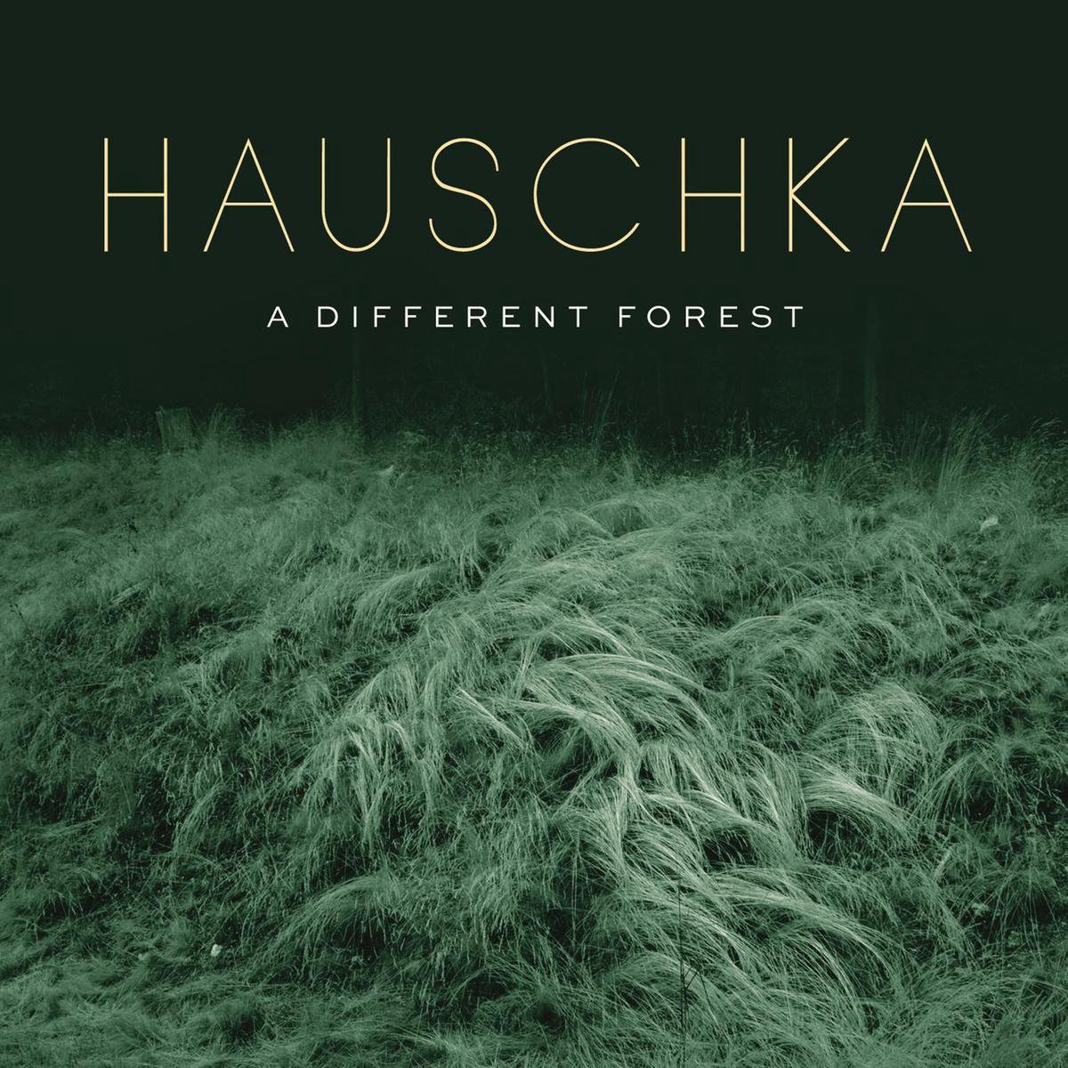 A Different Forest | Hauschka - 1 | YEO