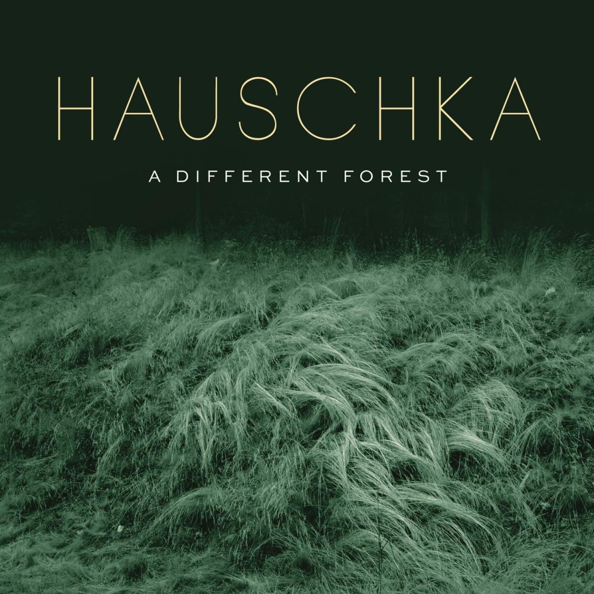 A Different Forest - Vinyl | Hauschka