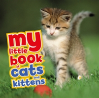 My Little Book of Cats and Kittens | David Alderton
