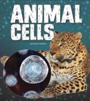 Animal Cells | Mason Anders