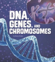 DNA, Genes, and Chromosomes | Mason Anders