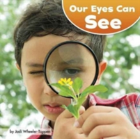 Our Eyes Can See | PhD. Jodi Wheeler-Toppen