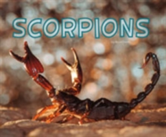 Scorpions | Rose Davin