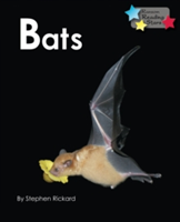 Bats | Stephen Rickard