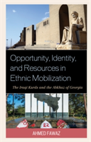 Opportunity, Identity, and Resources in Ethnic Mobilization | Ahmed Abdel-Hafez Fawaz