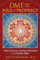 DMT and the Soul of Prophecy | MD Rick Strassman