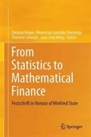 From Statistics to Mathematical Finance |