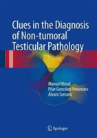 Clues in the Diagnosis of Non-tumoral Testicular Pathology | Manuel Nistal Martin de Serrano, Gonzalez-Peramato Gutierrez, Alvaro Serrano Pascual