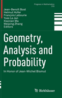 Geometry, Analysis and Probability |