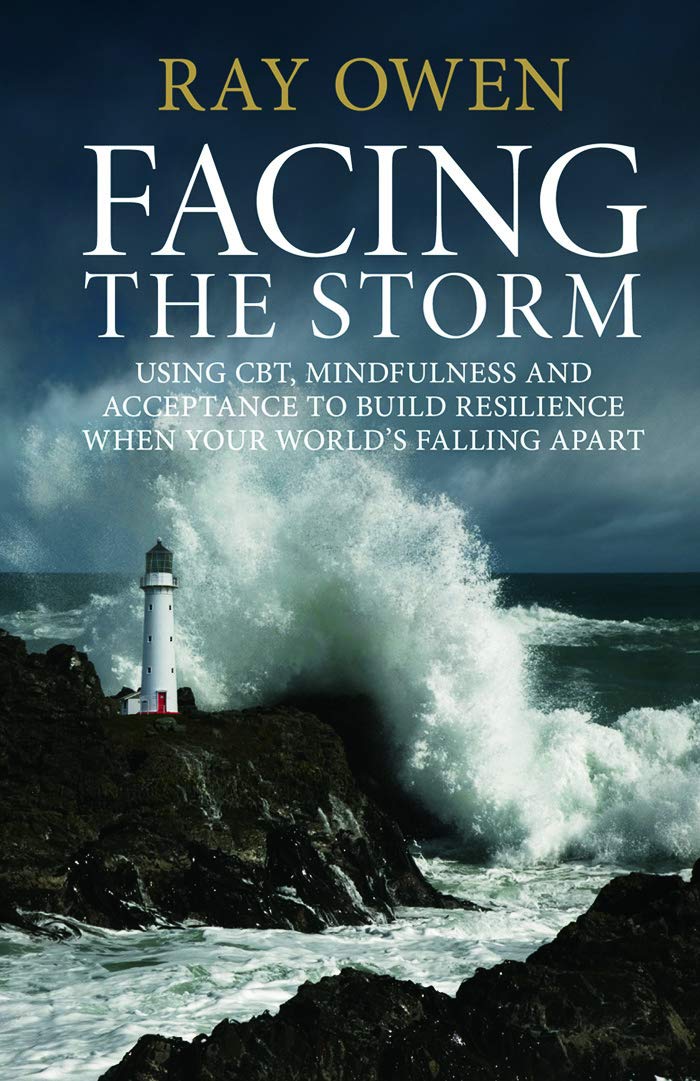 Facing the Storm | Ray Owen