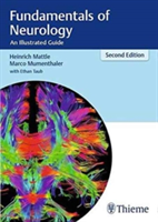 Fundamentals of Neurology | Switzerland) Berne Berne University M.D. (Clinic of Neurology Prof. Heinrich Mattle, Prof. Marco Mumenthaler
