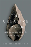 The Creative Spark | Agustin Fuentes