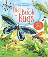 Big Book of Big Bugs | Emily Bone