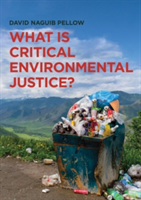 What is Critical Environmental Justice? | David Naguib Pellow
