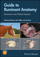 Guide to Ruminant Anatomy | Mahmoud Mansour, Ray Wilhite, Joe Rowe