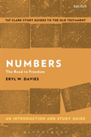 Numbers: An Introduction and Study Guide | Eryl Wynn Davies